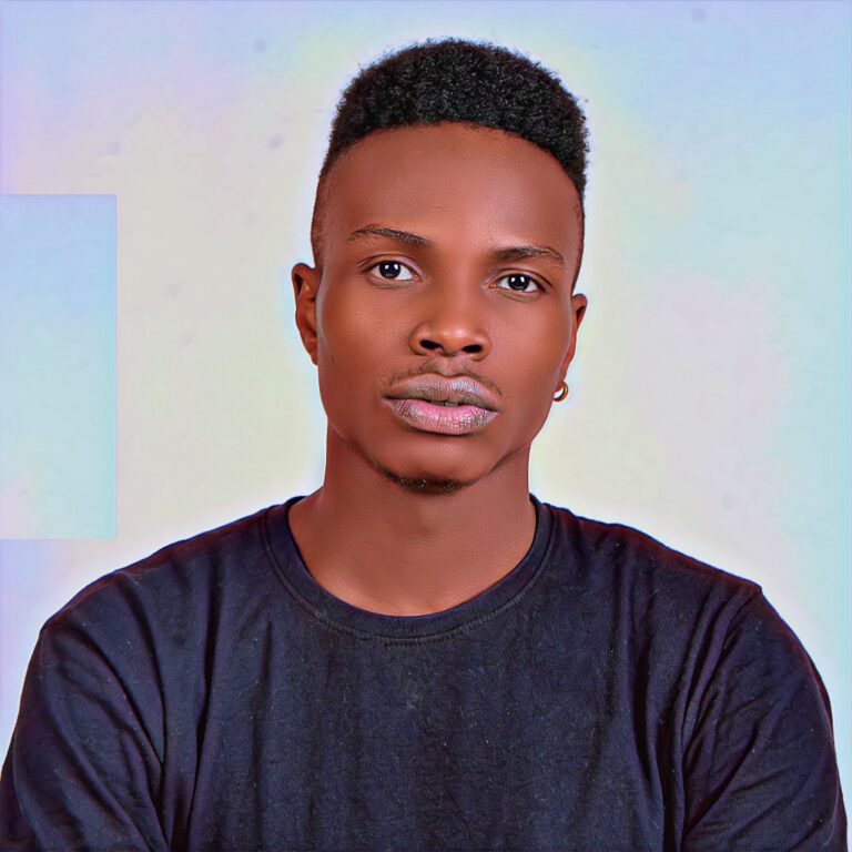 Cover Art For Bravoprinz