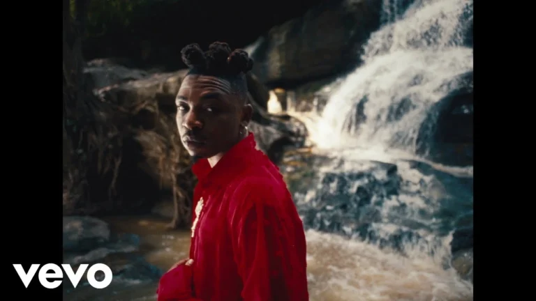 Cover Art For Mayorkun – Lowkey! (Video)
