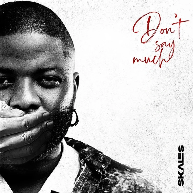 Cover Art For Skales – Don’t Say Much