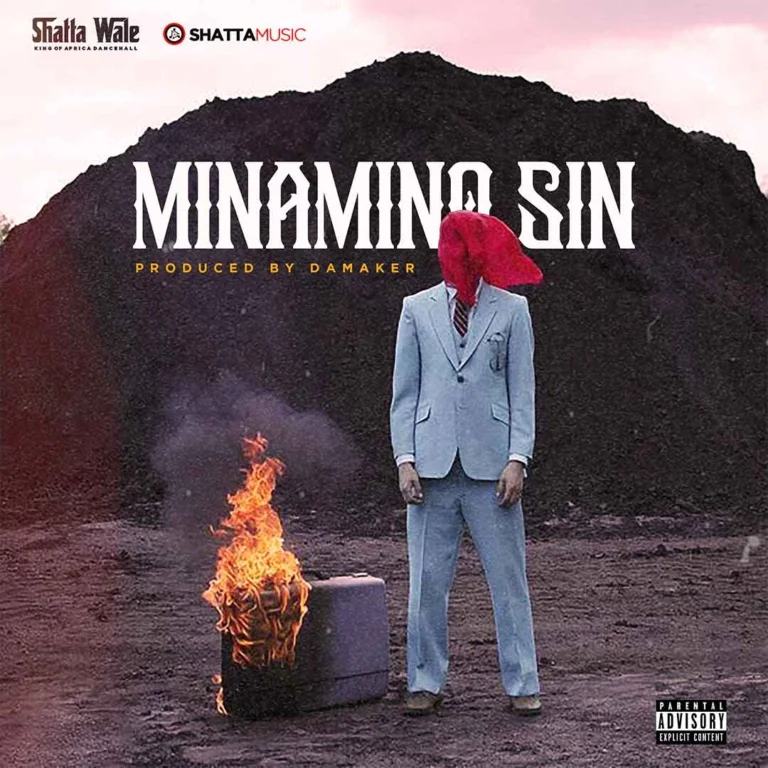 Cover Art For Shatta Wale – Mina Mino Sin