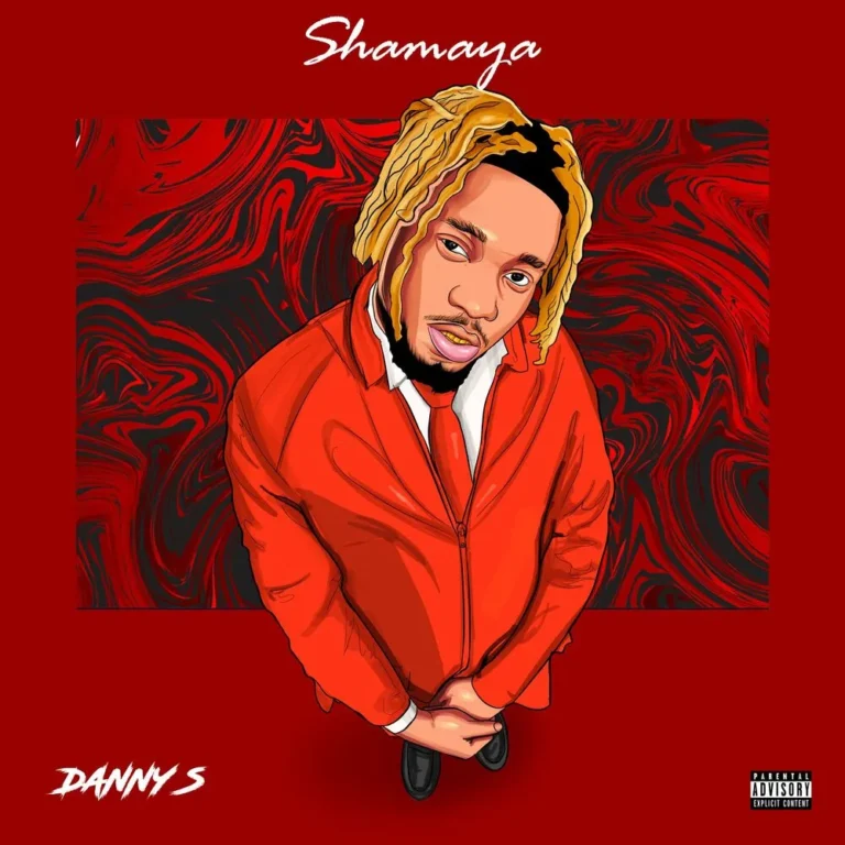 Cover Art For Danny S – Shamaya