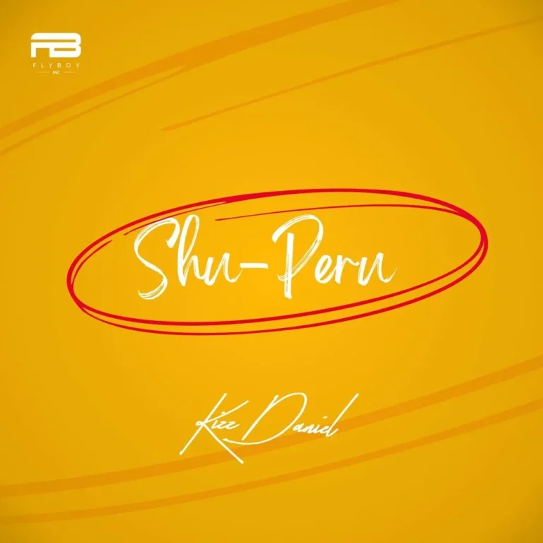 Cover Art For Kizz Daniel Shu-Peru