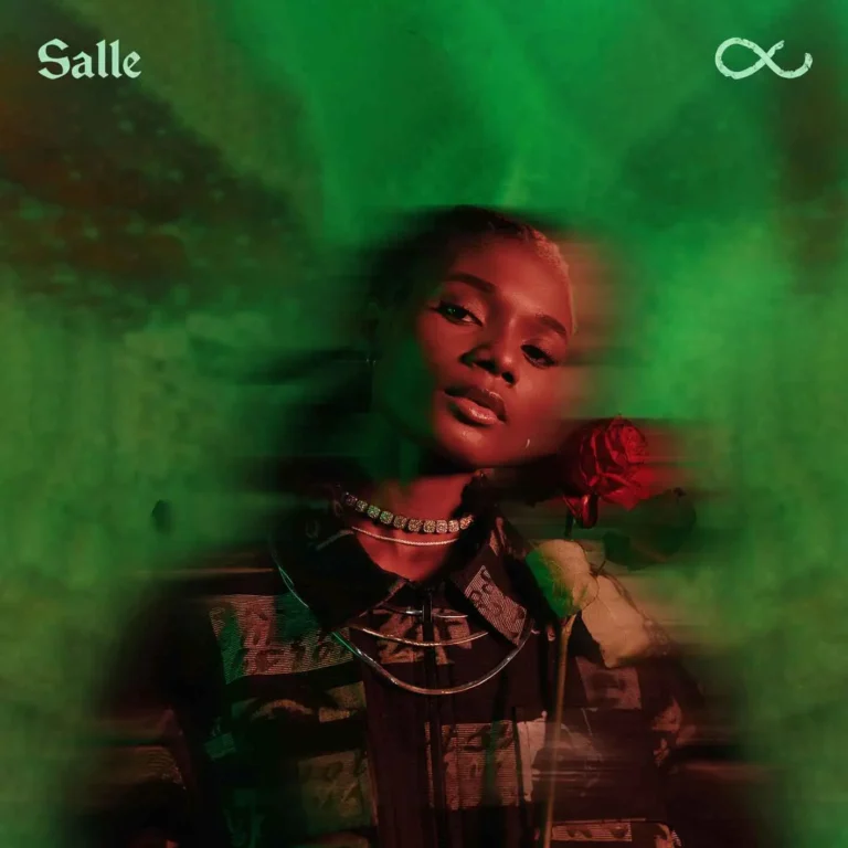 Cover Art For Salle – Countdown