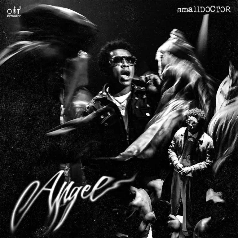 Cover Art For Small Doctor – Angel