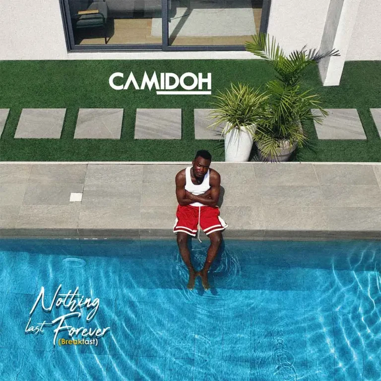 Cover Art For Camidoh – NLF (Breakfast)