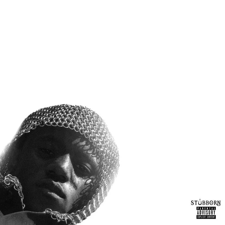 Cover Art For Victony – Stubborn (Album)