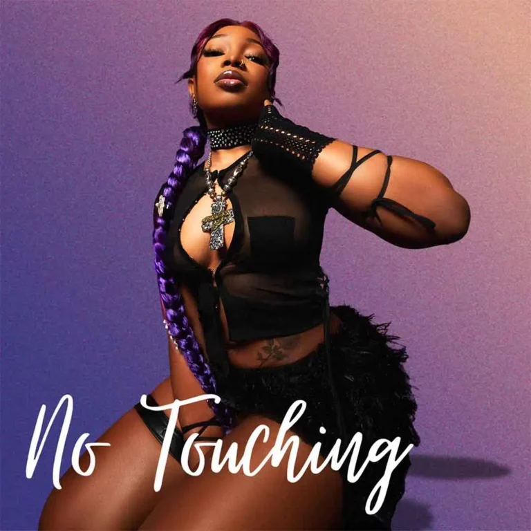 Cover Art For Guchi – No Touching