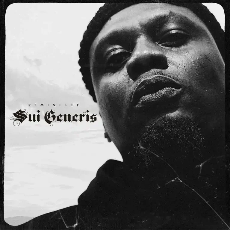 Cover Art For Reminisce – Sui Generis Ep