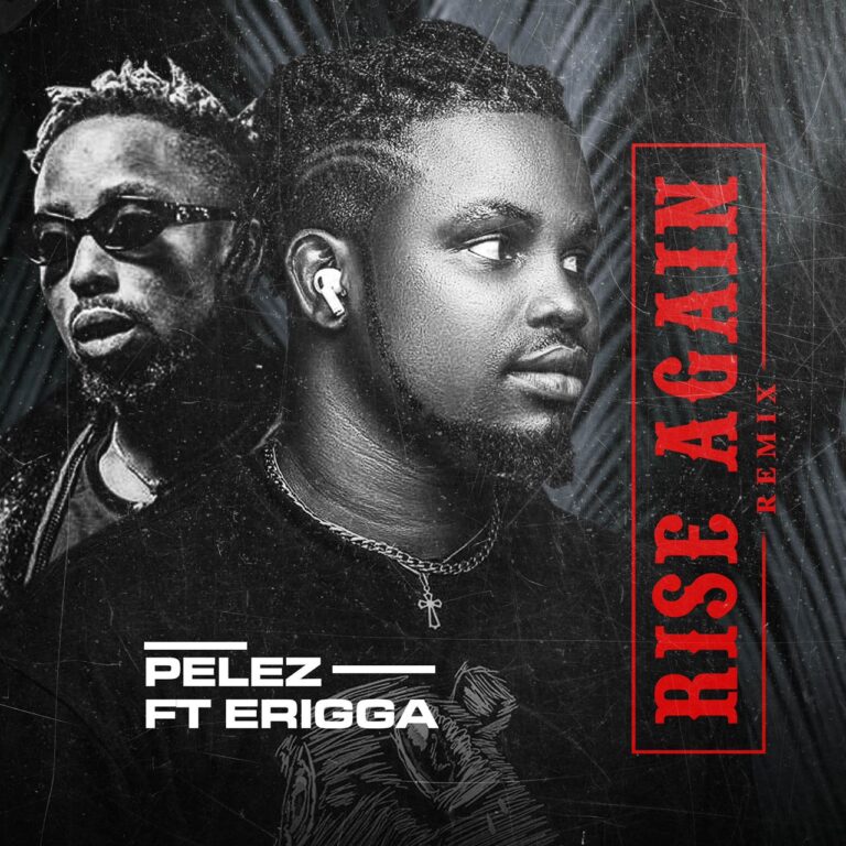 Cover Art For Pelez – Rise Again (feat. Erigga)