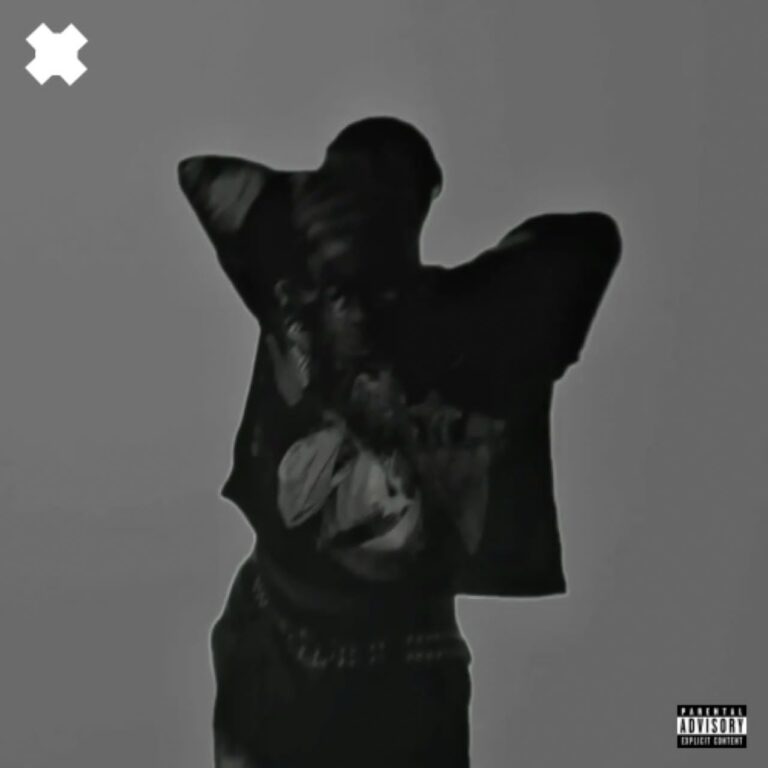 Cover Art For MXL – VAMP