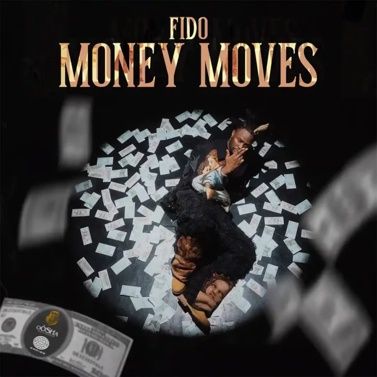 Cover Art For Fido – Money Moves
