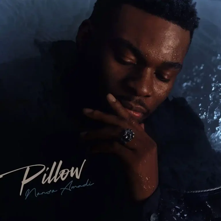 Cover Art For Nonso Amadi – PILLOW