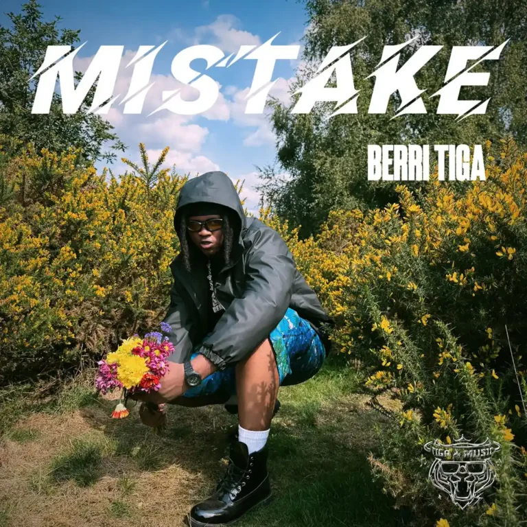 Cover Art For Berri-Tiga – Mistake