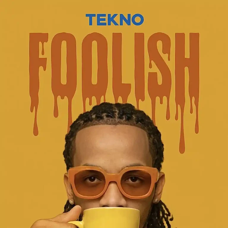 Cover Art For Tekno – Foolish