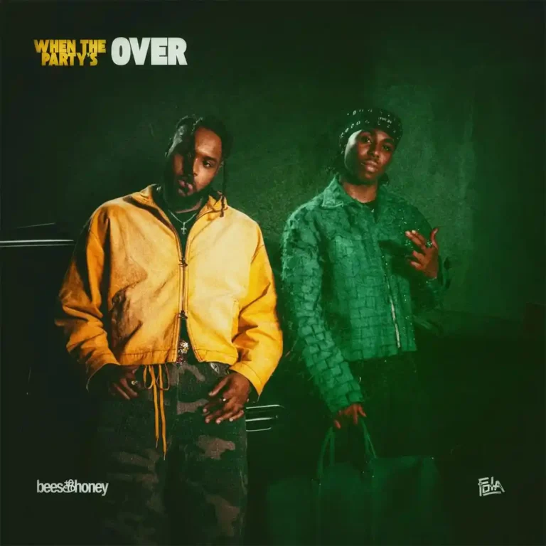 Cover Art For bees & honey – when the party’s over ft. FOLA